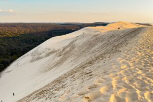 Burdeos y Perigord en San Fermín. Salida desde Pamplona 09 – 14 Julio.