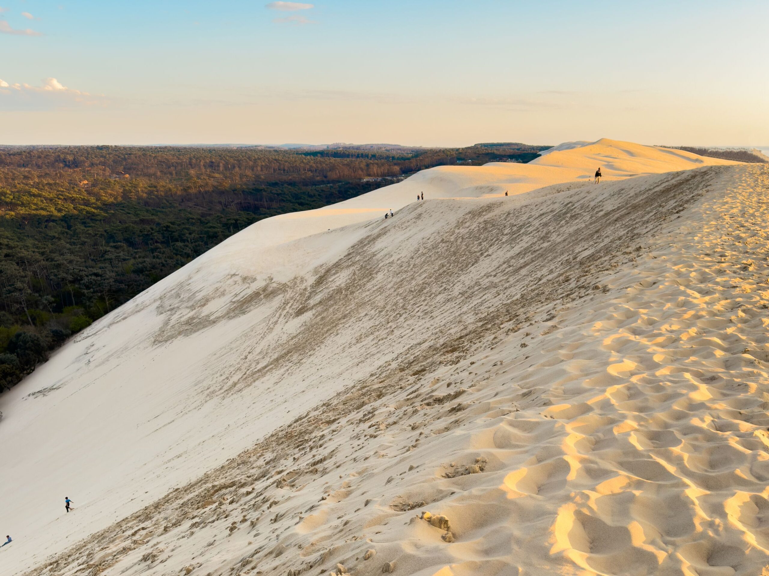 Burdeos y Perigord en San Fermín. Salida desde Pamplona 09 – 14 Julio.