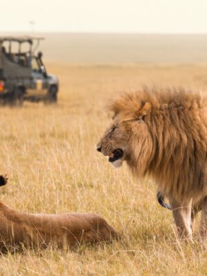 SAFARI EN TANZANIA PETIT COMITÉ. Salida desde Pamplona 28 Noviembre al 07 Diciembre.