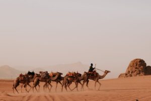 JORDANIA DESDE PAMPLONA. Noviembre 2026.