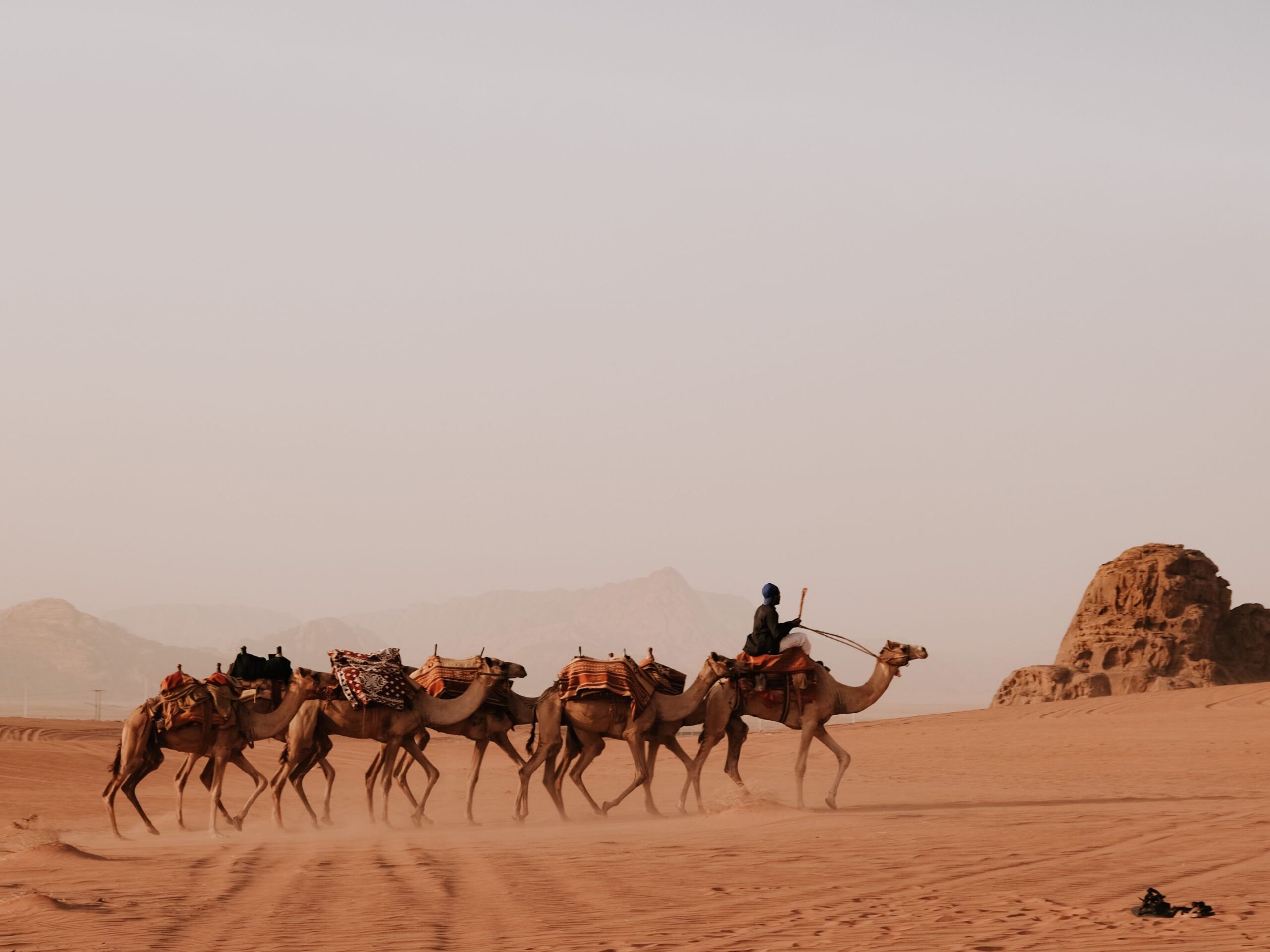 JORDANIA DESDE PAMPLONA. Noviembre 2026.