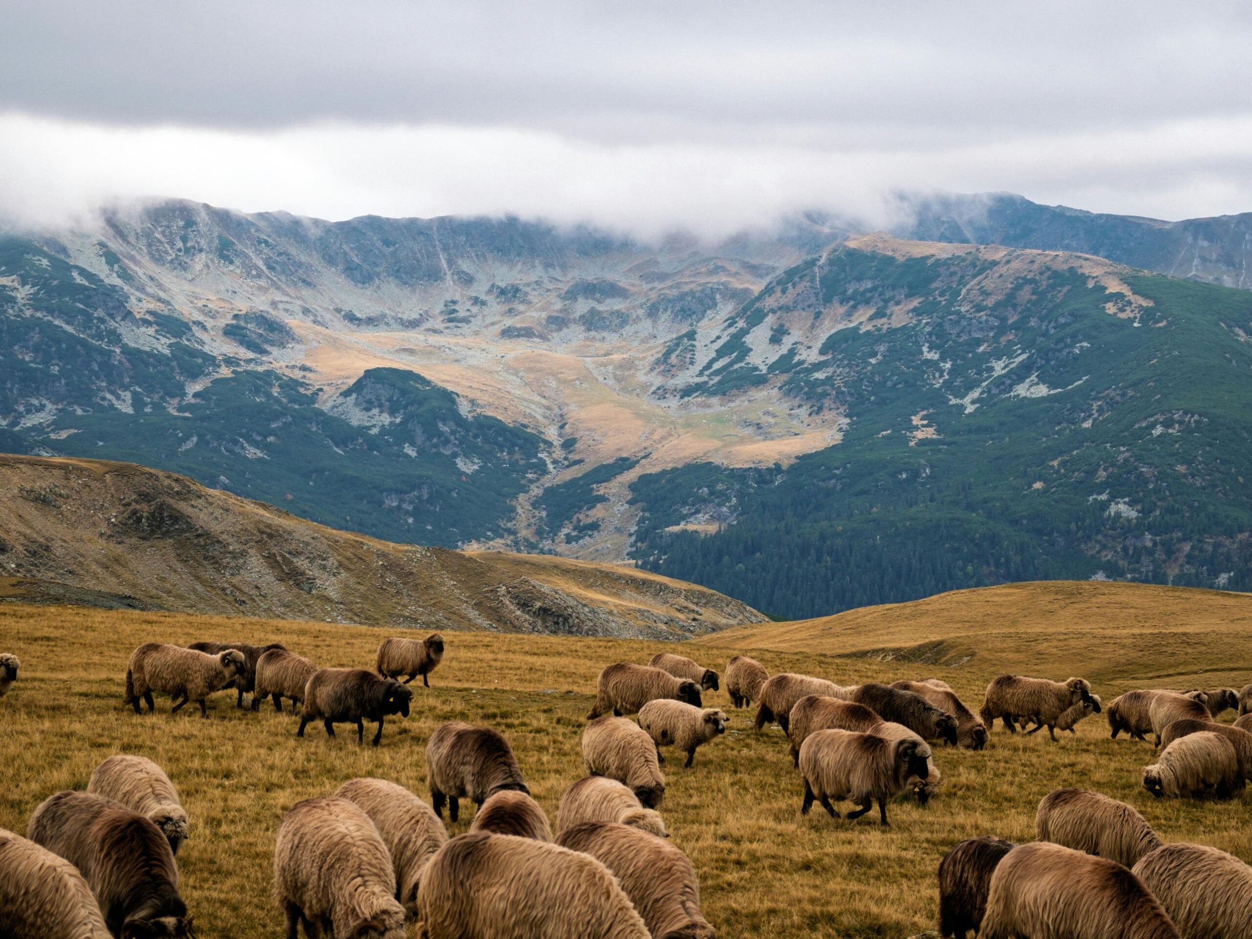 SEMANA SANTA. Rumanía desde Bilbao del 02-06 Abril.