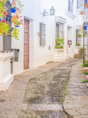 Andalucía en avión desde Bilbao. Varias fechas.