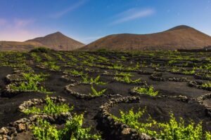 Lanzarote desde Pamplona. Noviembre 2026