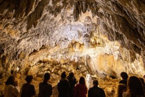 Turismo Navarra: BRUJAS, INDIANOS Y OTROS CUENTOS TRANSFRONTERIZOS