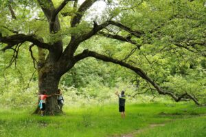 Turismo Navarra: BRUJAS, INDIANOS Y OTROS CUENTOS TRANSFRONTERIZOS