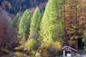 Turismo Navarra: EN EL CORAZON DE LA HISTORIA, VALLES SIN FRONTERAS