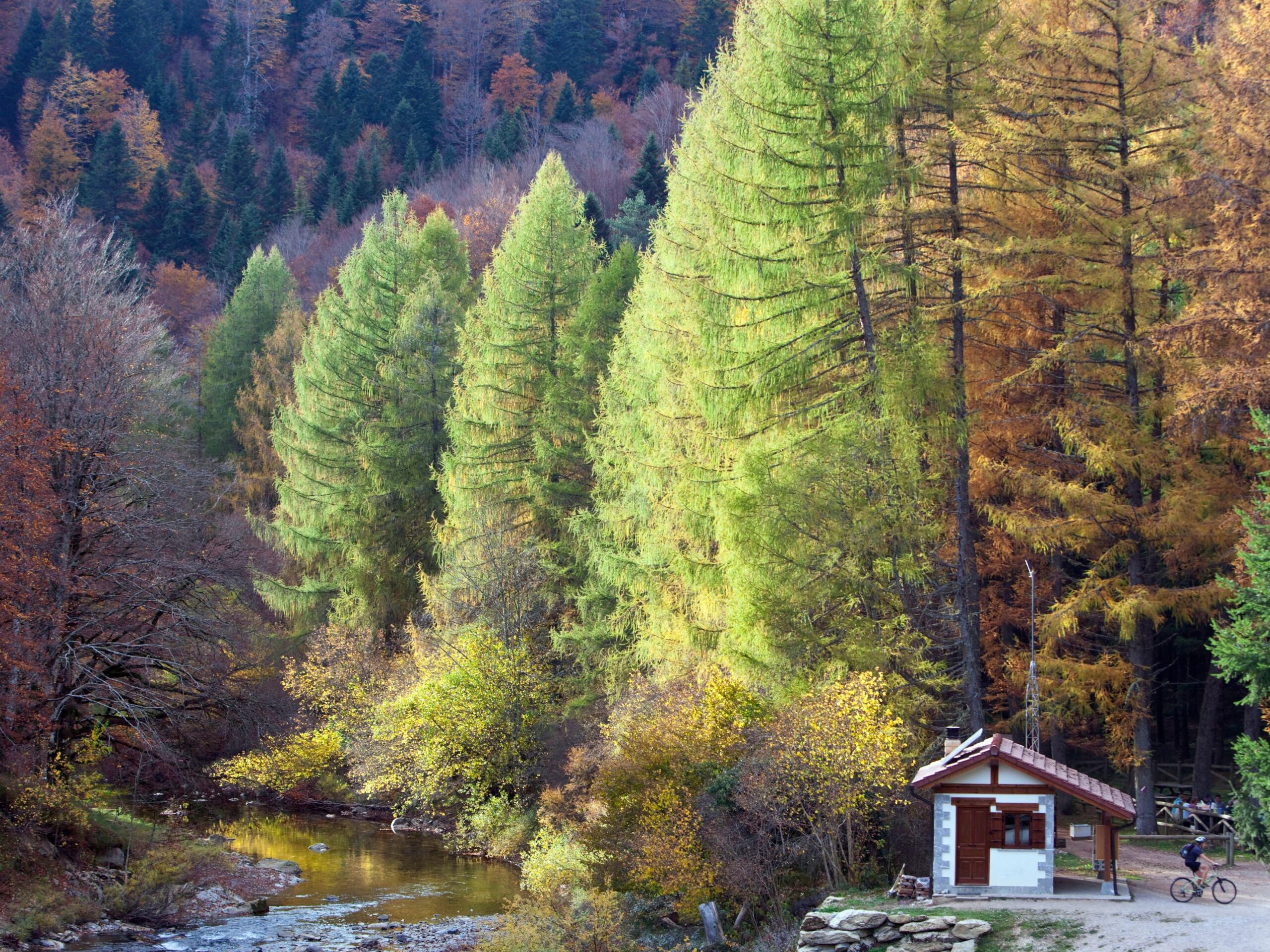 Turismo Navarra: EN EL CORAZON DE LA HISTORIA, VALLES SIN FRONTERAS